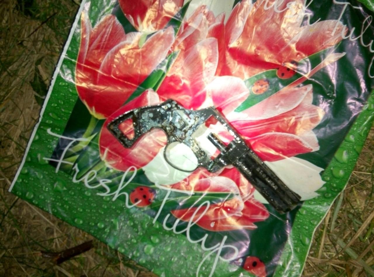 Знайдено пістолет, з якого, ймовірно, було вбито жителя Кривого Озера