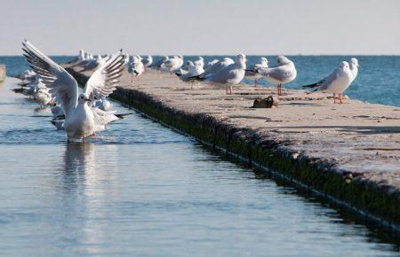 Як одесити насолоджуються осіннім морем — фоторепортаж