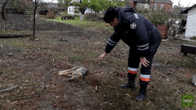 У Виноградному через обстріли пошкоджено 10 будинків та вбито собаку - відео