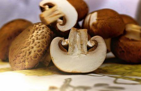 Смачна країна. Фаршировані грибні капелюшки