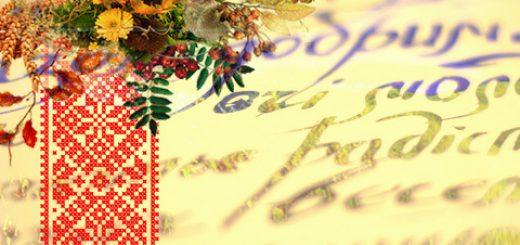 Дискусії про «мовний закон» на Закарпатті — передвиборчі маневри — д-р Юрій Бідзіля