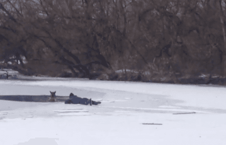 У Запоріжжі чоловік врятував собаку, який потрапив в ополонку (відео)