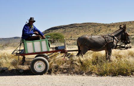 Які категорії сільгоспвиробників матимуть право на дотації у 2017 р.?