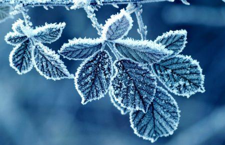На Різдво до України прийдуть морози