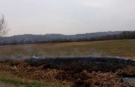 Бойовики обстріляли пункт пропуску «Майорське»