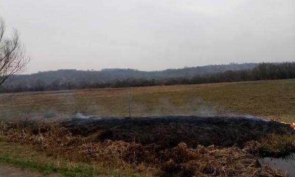 Бойовики обстріляли пункт пропуску «Майорське»