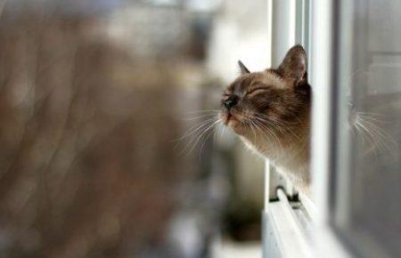 Сьогодні в Україні очікується стрімке потепління