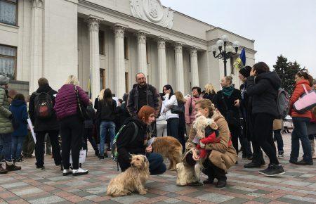 Активісти вимагають замінити штрафи на ув'язнення за знущання над тваринами