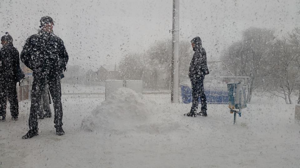 Повалені дерева та розбиті машини: у Дніпрі випав квітневий сніг