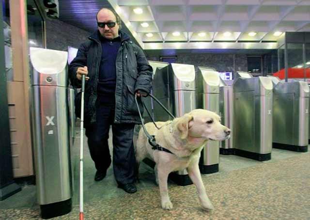 Як адаптувати метро під потреби незрячих з собаками-поводирями?