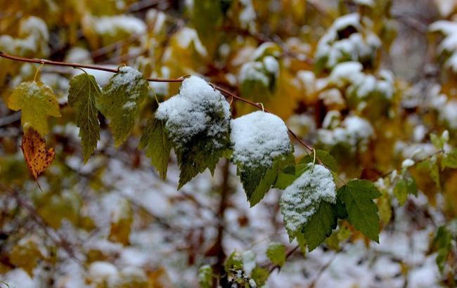 Весна прийде в Україну 26-го квітня, можлива втрата близько 30% врожаю