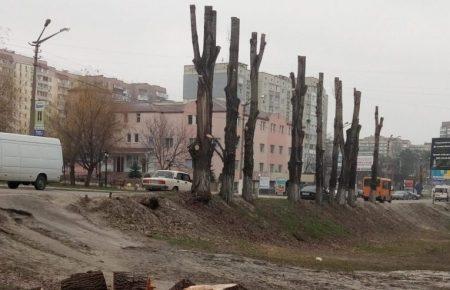 Дерева в містах підрізають не для потреби, а щоб заробляти, — еколог