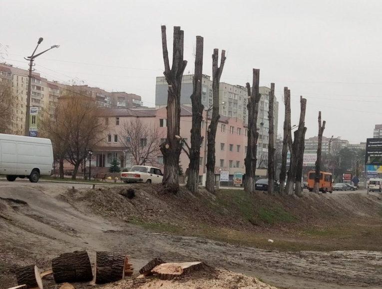 Дерева в містах підрізають не для потреби, а щоб заробляти, — еколог