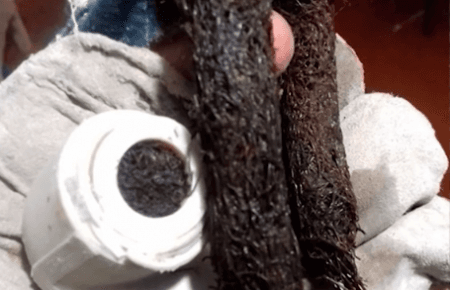 В одному з районів Криму з кранів тече вода з водоростями (ВІДЕО)