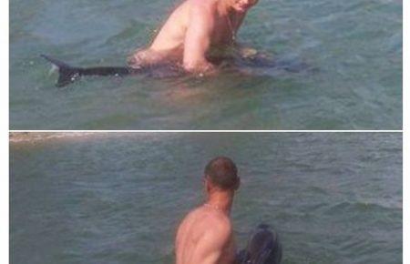 В Одеській області дельфіна врятували від загибелі (Фото)