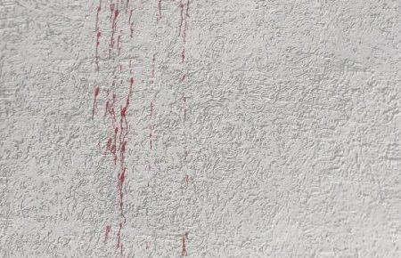 Під Києвом невідомі осквернили меморіальну дошку пам’яті Євгена Коновальця (ФОТО)