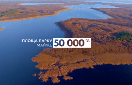 Неймовірна краса Шацьких озер з висоти (ВІДЕО)