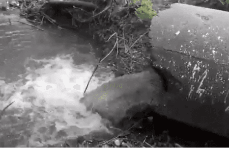 В Сумах в русло ріки зливають чорну воду невідомого походження (ВІДЕО)