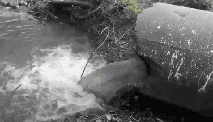 В Сумах в русло ріки зливають чорну воду невідомого походження (ВІДЕО)