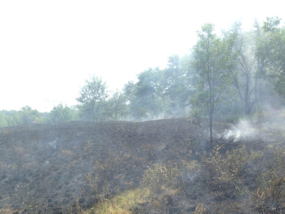 Невідомі намагалися влаштувати масштабну пожежу на «Хортиці» (ФОТО)