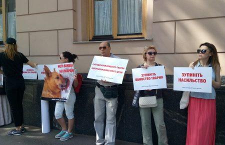 Украина без живодеров: под Радой митингуют зоозащитники (ФОТО)
