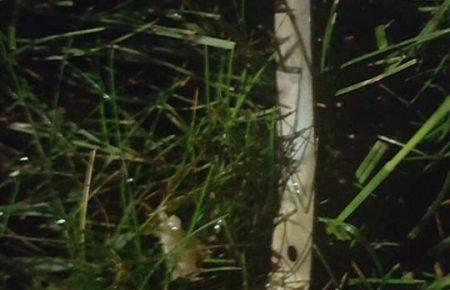 В поліції показали відео з місця вибуху біля посольства США в Києві (ВІДЕО)