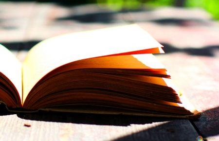 Екс-главу Бібліотеки української літератури в Москві визнали винною у справі про екстремізм