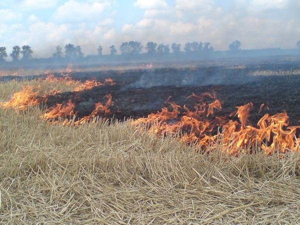 За минулу добу в Україні виникла 121 пожежа на відкритих територіях