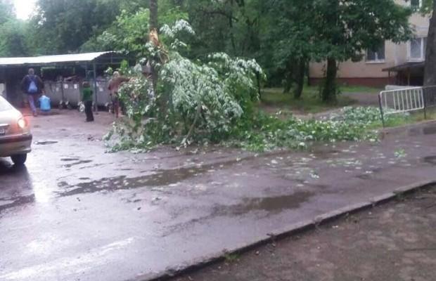 «Сміття все мокре і після бурі плаває по Львову» — львів’янин про негоду (ФОТО)