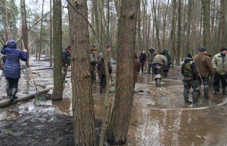 «Бурштинові війни тривають» - поліція затримала копачів