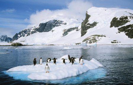 Україна досліджуватиме Антарктику разом з Туреччиною, Малайзією та Китаєм