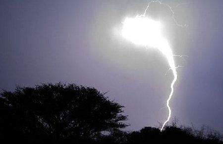 Від удару блискавки у Львові загинули чоловік та дівчинка