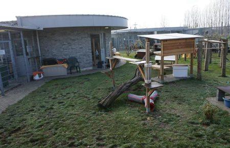 Як живуть тварини у найбільшому притулку Європи? (Фоторепортаж)