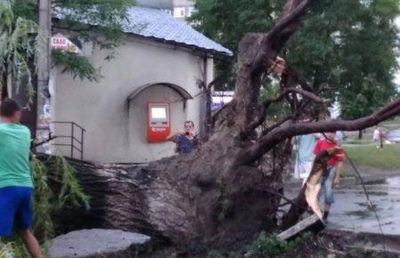 Під час урагану в Сумах травмувало трьох людей — поліція (ФОТО)