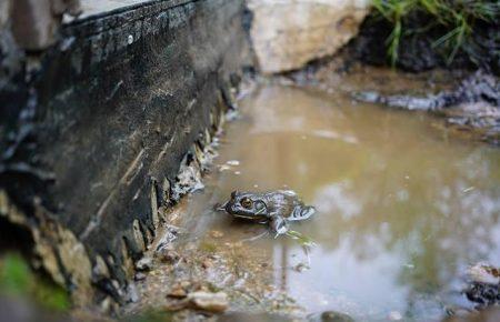 Такого понятия как «питьевая вода» на Луганщине нет, есть просто горячая и холодная, — правозащитник