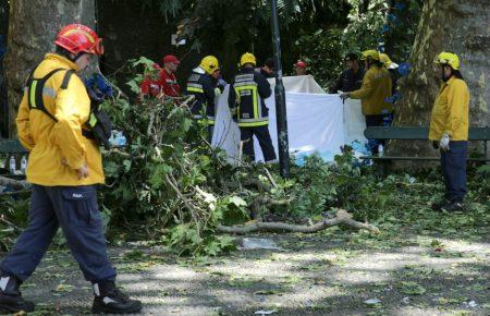 Кількість загиблих від падіння дерева на Мадейрі зросло до 13