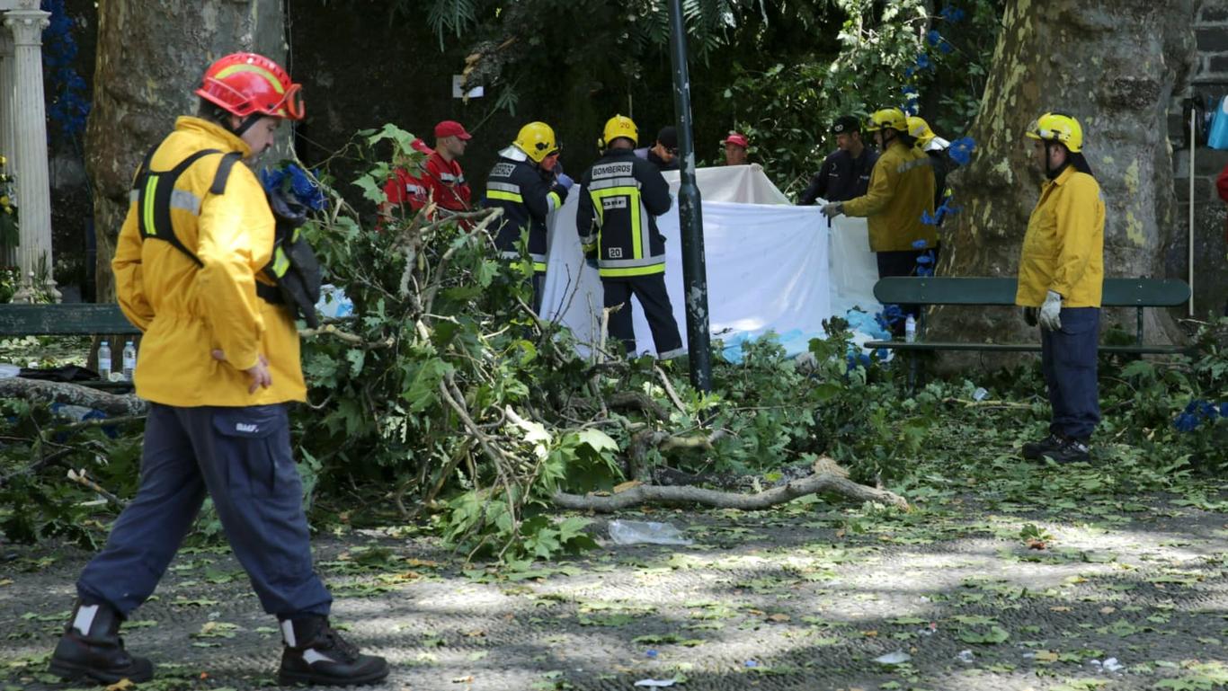 Кількість загиблих від падіння дерева на Мадейрі зросло до 13