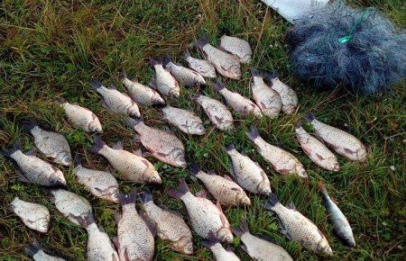 У Житомирі виявили незаконний вилов риби на понад 40 тисяч гривень