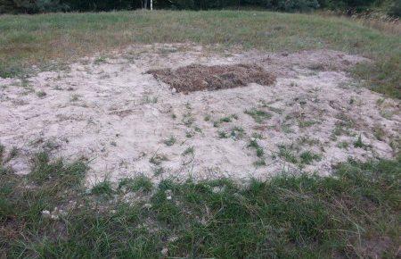 На місці масових розстрілів євреїв на Волині «чорні археологи» провели чергові розкопки (ФОТО)