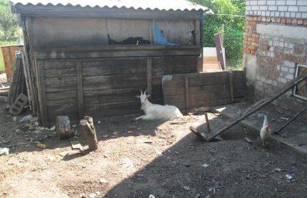 У Дніпрі виявили «реабілітаційний центр», де утримували 11 людей проти їхньої волі (ФОТО)