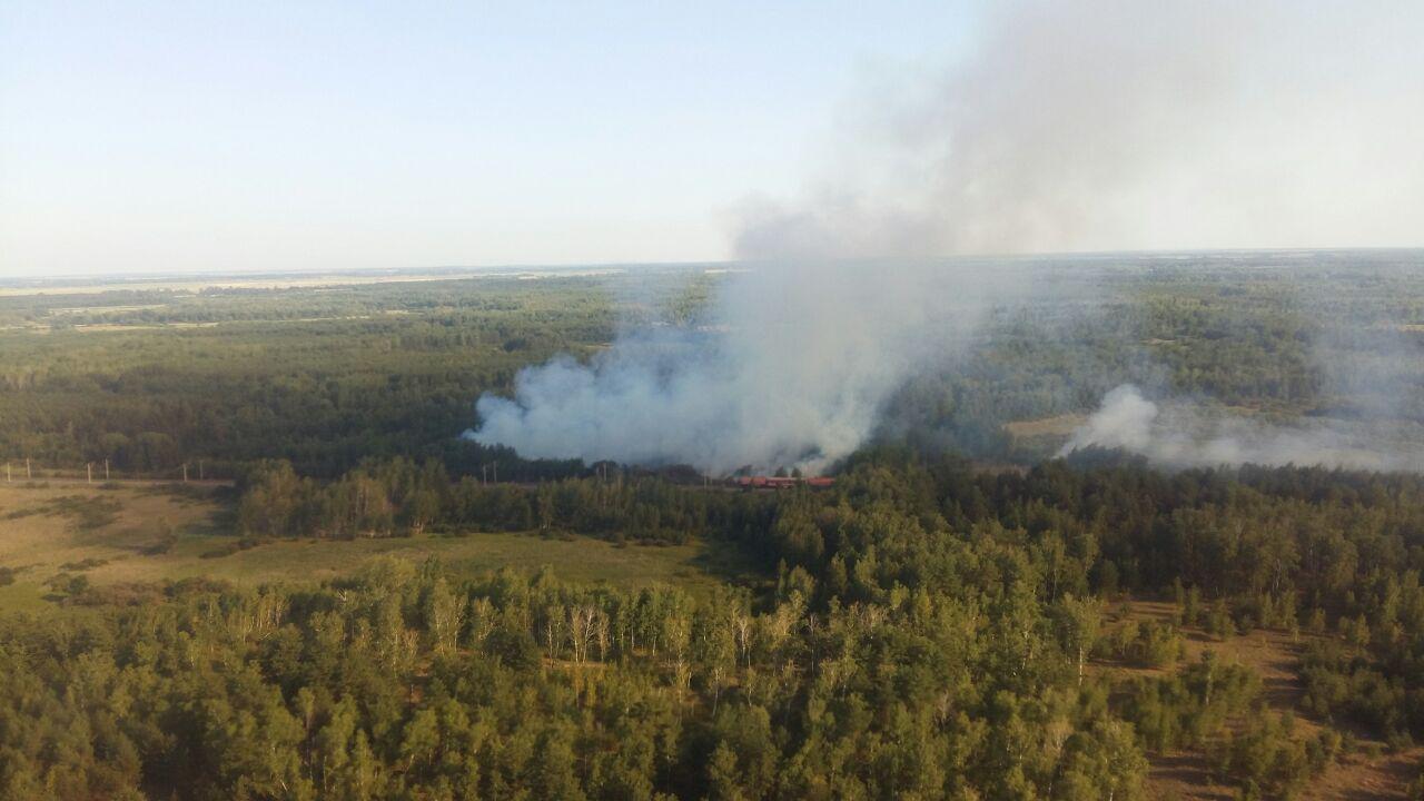 Пожежа на Полтавщині: згоріло два гектари лісу (ФОТО)