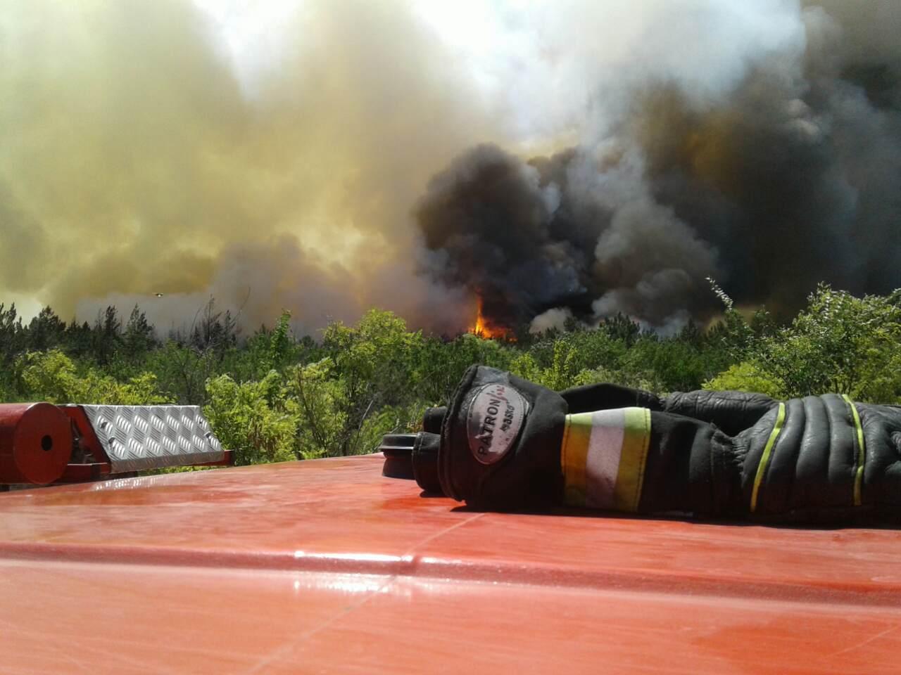 Масштабна пожежа під Карачуном: згоріло 4 гектари лісу (ВІДЕО)