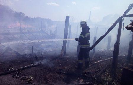 На Луганщині біля лінії розмежування горить 150 га лісу