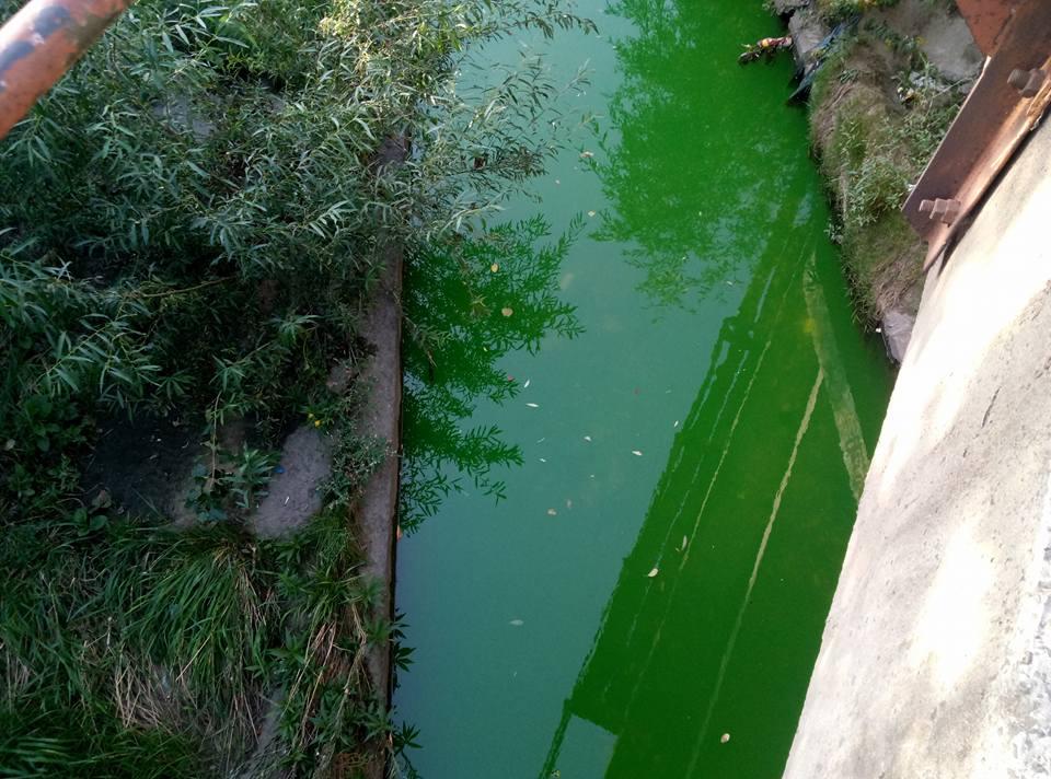 В Києві продовжується епідемія фарбування води - постраждала річка Либідь