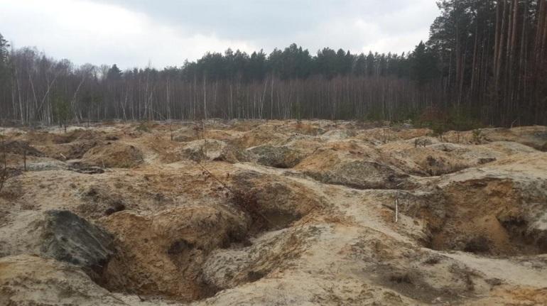 Журналист розповів про захоплення знімальної групи бурштинокопачами