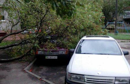 На Львівщині уночі буря повалила дерева, обірвала дроти та зірвала дах(ФОТО)