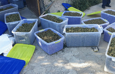 За півроку поліція вилучила майже 900 кг наркотиків (ФОТО)