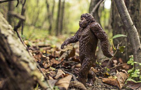 Хто така снігова людина й чому вона не живе в Україні?