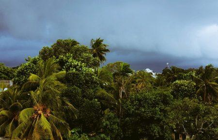 Українець на Шрі-Ланці загинув не через шторм, - українське посольство