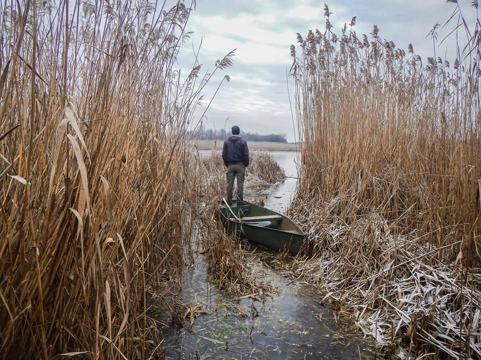 На Черкащині лебедя врятували від замерзання на льоду (ФОТО)